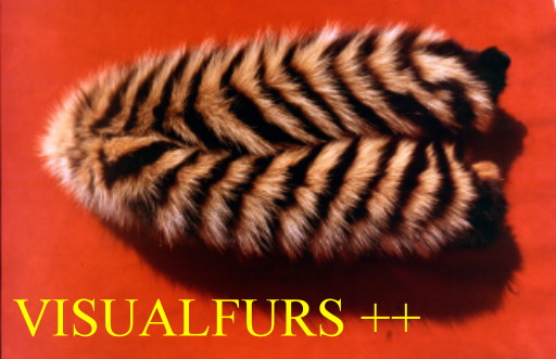VisualFurs++